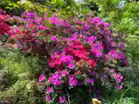 白金氷川神社(東京都)