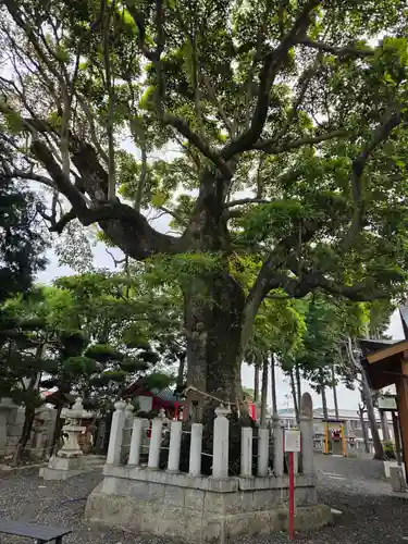 西宮八幡宮(山口県)