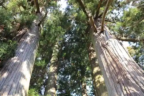 菅船神社の自然
