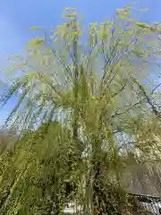 山王神社(神奈川県)