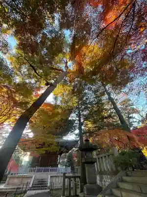 三寳寺(東京都)