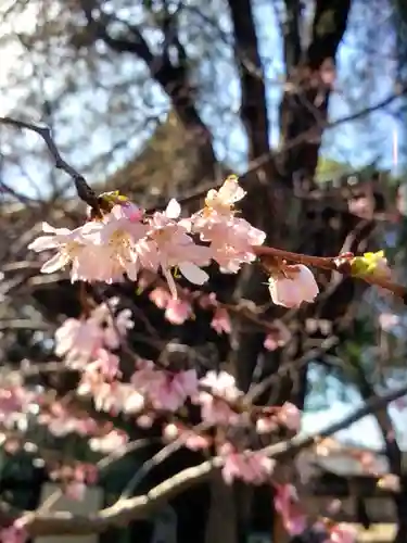 妙法寺(東京都)