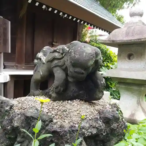 大島稲荷神社の狛犬