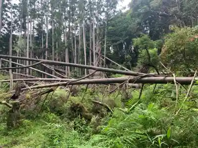 神社(名称不明)の周辺