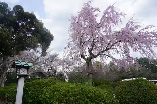 櫻木神社の庭園