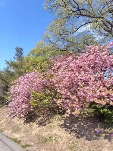 厚別神社(北海道)