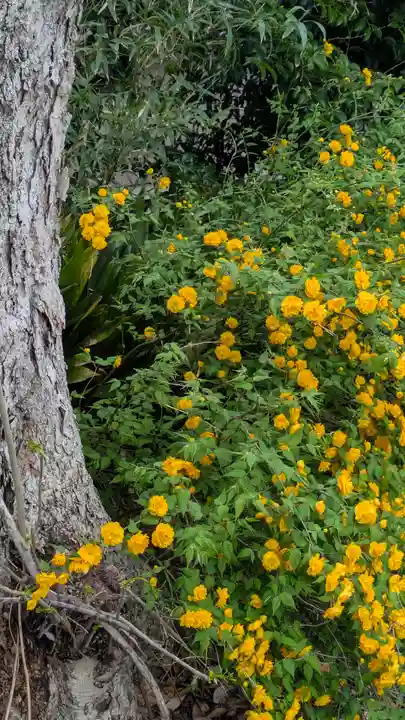 玉田神社(京都府)