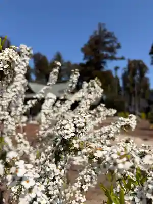鹿嶋三嶋神社(茨城県)
