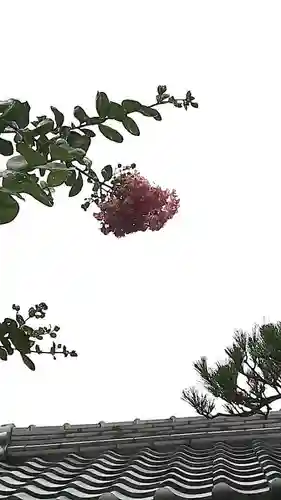 西方山極楽寺の自然