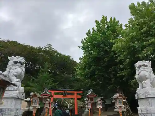 高山稲荷神社の狛犬