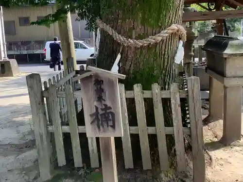 大神神社（花池）の自然