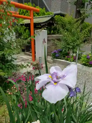 磐井神社(東京都)