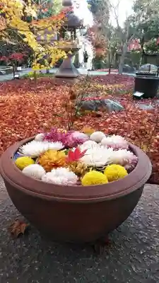 勝林寺の手水舎