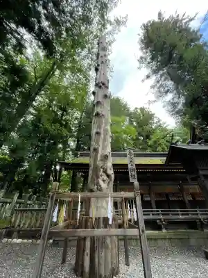 諏訪大社下社春宮(長野県)