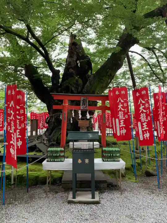 秩父今宮神社の自然