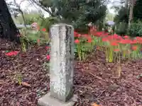 金蔵院(千葉県)