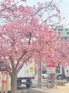 海蔵寺の周辺(2023年03月10日(金) 07時09分04秒投稿)