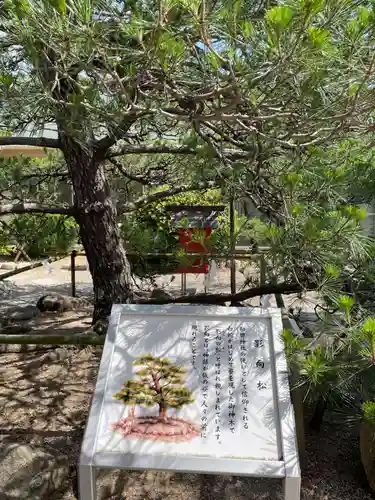 和田神社(兵庫県)