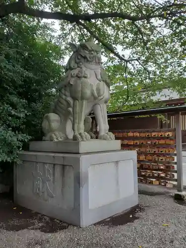 寒川神社の狛犬