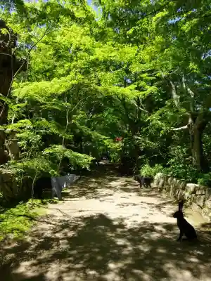 国宝　長寿寺(滋賀県)