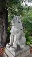 東郷神社の狛犬