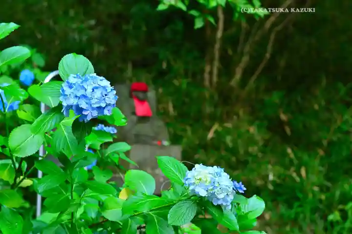 高幡不動尊 金剛寺(東京都)