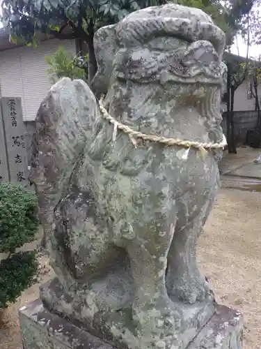 事代主神社の狛犬