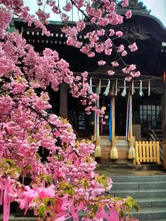 桜神宮(東京都)