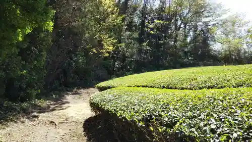 帝釈山女神社の周辺