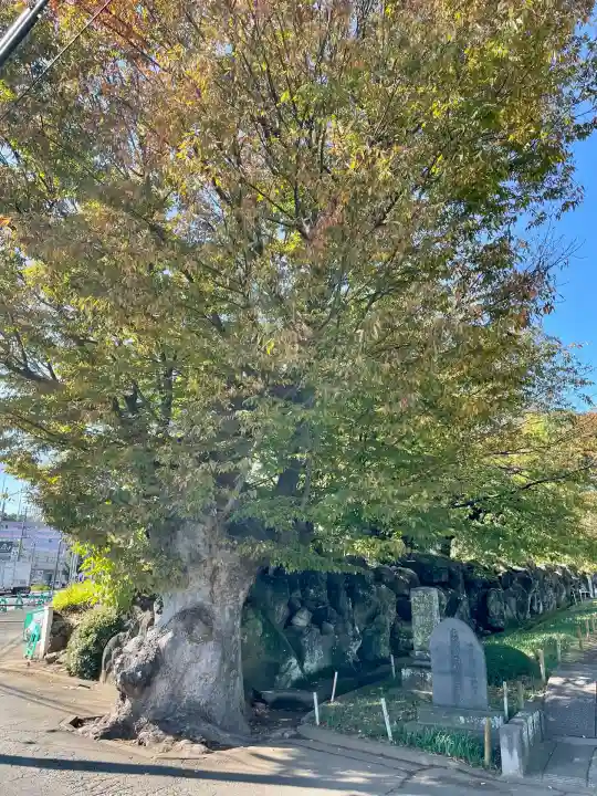 横浜 西方寺(神奈川県)