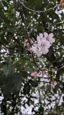 興聖寺(京都府)