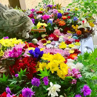 滑川神社 - 仕事と子どもの守り神の手水舎