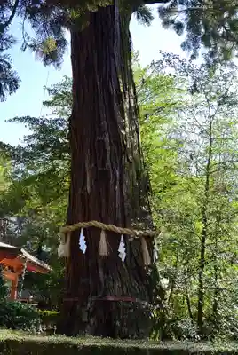 香取神宮(千葉県)