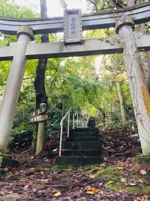 白山神社の鳥居