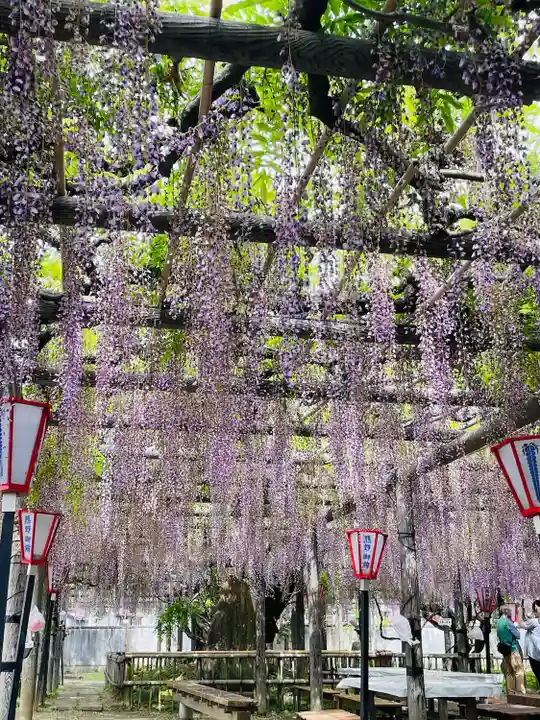 行興寺(静岡県)