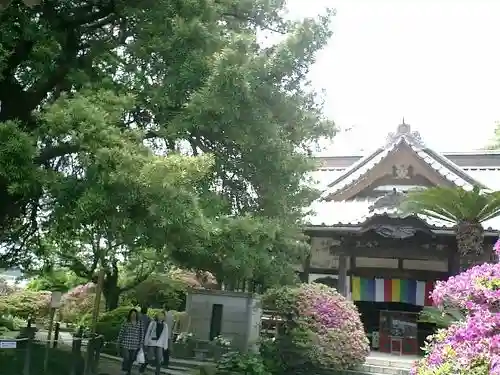 安養院　(田代寺）の本殿・本堂