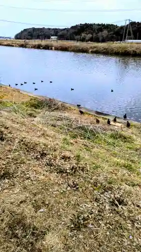 子安大明神の景色
