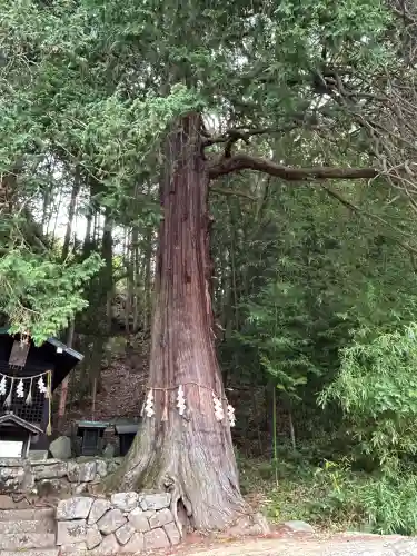 鎮神社(長野県)