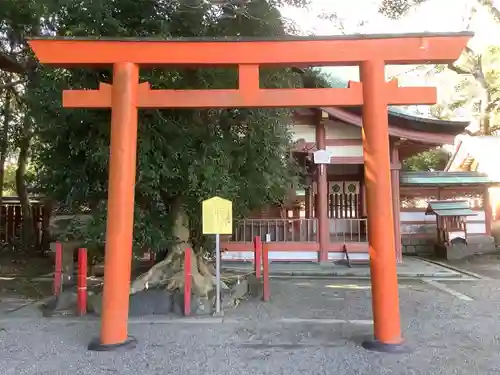 津島神社の鳥居