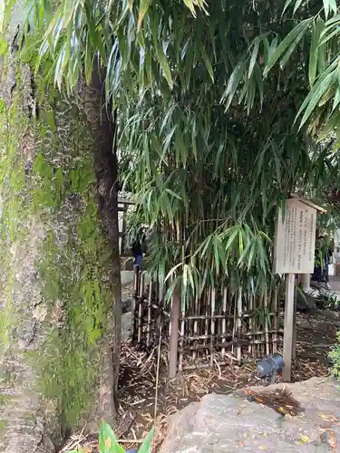 川越氷川神社の自然