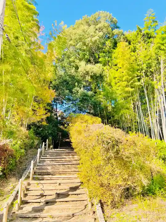 正福寺の{uncategorized: "未分類", other: "その他", undefined: "問題あり", building: "その他建物", grave: "お墓", sacred_gate: "鳥居", guardian: "狛犬", statue: "像", buddha: "仏像", history: "歴史", nature: "自然", garden: "庭園", animal: "動物", pagoda: "塔", temizu: "手水舎", mountain_gate: "山門・神門", sanctuary: "本殿・本堂", subordinate: "末社・摂社", art: "芸術", scenery: "景色", jizo: "地蔵", ema: "絵馬", goshuin: "御朱印", omikuji: "おみくじ", items: "授与品その他", amulet: "お守り", goshuincho: "御朱印帳", eats: "食事", festival: "お祭り", votive_dance: "神楽", shichigosan: "七五三参", wedding: "結婚式", experience: "体験その他", initially: "初詣", around: "周辺", anti_infection: "感染症対策"}
