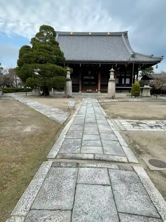 妙顯寺(妙顕寺)の{uncategorized: "未分類", other: "その他", undefined: "問題あり", building: "その他建物", grave: "お墓", sacred_gate: "鳥居", guardian: "狛犬", statue: "像", buddha: "仏像", history: "歴史", nature: "自然", garden: "庭園", animal: "動物", pagoda: "塔", temizu: "手水舎", mountain_gate: "山門・神門", sanctuary: "本殿・本堂", subordinate: "末社・摂社", art: "芸術", scenery: "景色", jizo: "地蔵", ema: "絵馬", goshuin: "御朱印", omikuji: "おみくじ", items: "授与品その他", amulet: "お守り", goshuincho: "御朱印帳", eats: "食事", festival: "お祭り", votive_dance: "神楽", shichigosan: "七五三参", wedding: "結婚式", experience: "体験その他", initially: "初詣", around: "周辺", anti_infection: "感染症対策"}