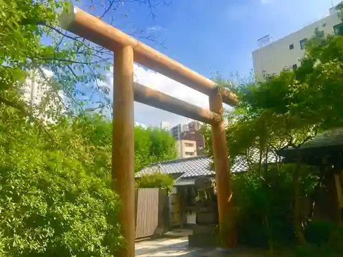 堀越神社の鳥居