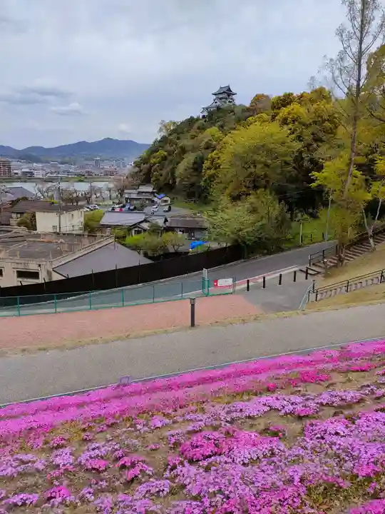 三光稲荷神社の周辺