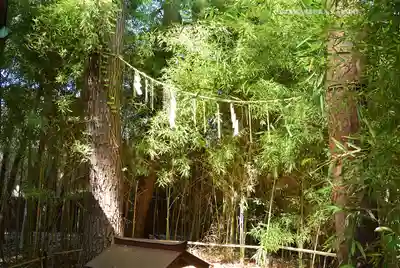 自由が丘熊野神社(東京都)