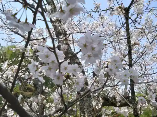 平安神宮の{uncategorized: "未分類", other: "その他", undefined: "問題あり", building: "その他建物", grave: "お墓", sacred_gate: "鳥居", guardian: "狛犬", statue: "像", buddha: "仏像", history: "歴史", nature: "自然", garden: "庭園", animal: "動物", pagoda: "塔", temizu: "手水舎", mountain_gate: "山門・神門", sanctuary: "本殿・本堂", subordinate: "末社・摂社", art: "芸術", scenery: "景色", jizo: "地蔵", ema: "絵馬", goshuin: "御朱印", omikuji: "おみくじ", items: "授与品その他", amulet: "お守り", goshuincho: "御朱印帳", eats: "食事", festival: "お祭り", votive_dance: "神楽", shichigosan: "七五三参", wedding: "結婚式", experience: "体験その他", initially: "初詣", around: "周辺", anti_infection: "感染症対策"}