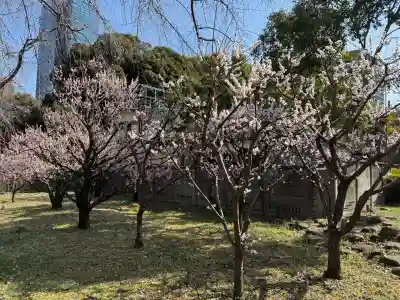 芝東照宮の{uncategorized: "未分類", other: "その他", undefined: "問題あり", building: "その他建物", grave: "お墓", sacred_gate: "鳥居", guardian: "狛犬", statue: "像", buddha: "仏像", history: "歴史", nature: "自然", garden: "庭園", animal: "動物", pagoda: "塔", temizu: "手水舎", mountain_gate: "山門・神門", sanctuary: "本殿・本堂", subordinate: "末社・摂社", art: "芸術", scenery: "景色", jizo: "地蔵", ema: "絵馬", goshuin: "御朱印", omikuji: "おみくじ", items: "授与品その他", amulet: "お守り", goshuincho: "御朱印帳", eats: "食事", festival: "お祭り", votive_dance: "神楽", shichigosan: "七五三参", wedding: "結婚式", experience: "体験その他", initially: "初詣", around: "周辺", anti_infection: "感染症対策"}