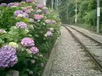御霊神社の周辺