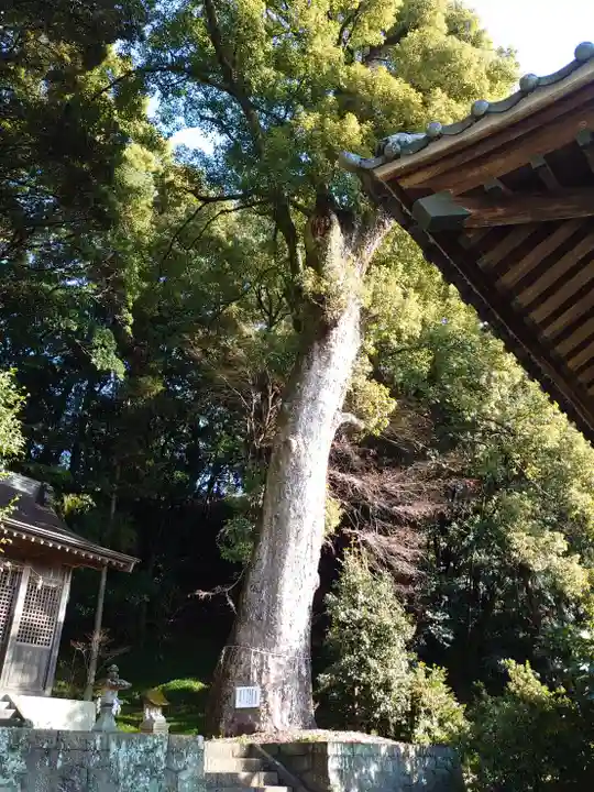 若一王子神社(静岡県)