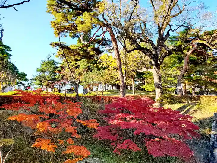 麓山神社の自然